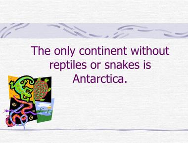 Antarctica is the only continent without reptiles or snakes