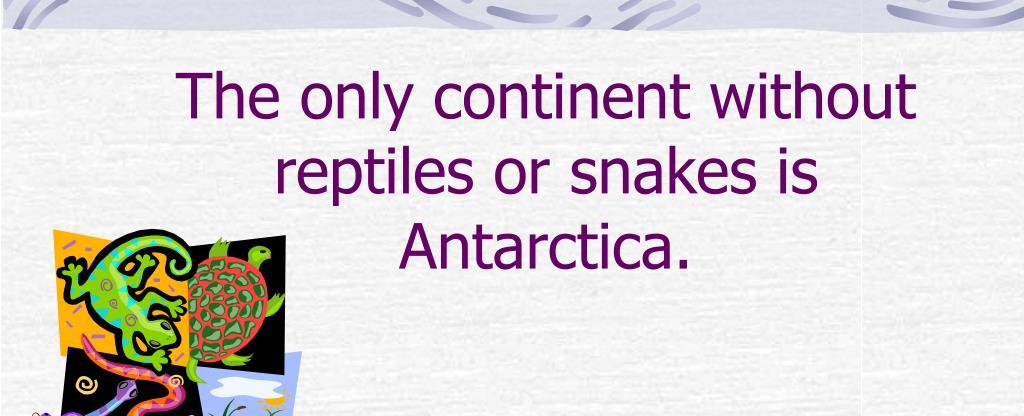 Antarctica is the only continent without reptiles or snakes