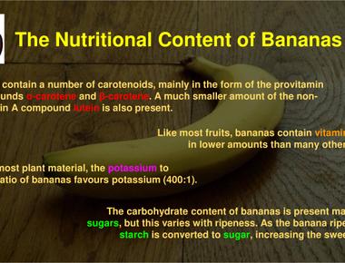 Bananas contain potassium and since potassium decays that makes them slightly radioactive