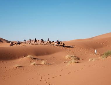 Saudi arabia imports sand and camels from australia