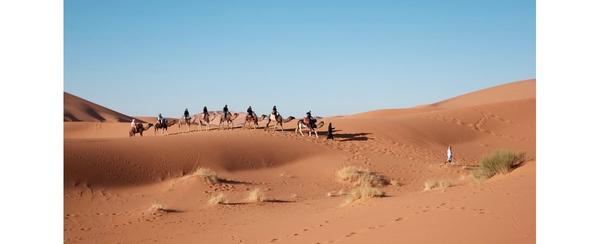 Saudi arabia imports sand and camels from australia | The Fact Base