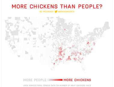 There are more chickens on earth than people on the planet