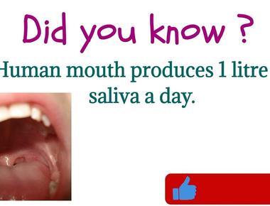 Your mouth produces about one liter of saliva each day