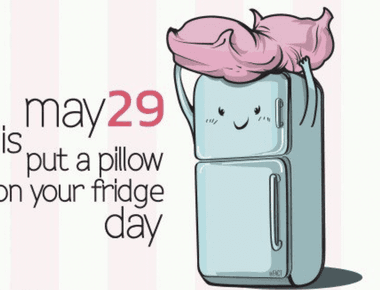 29th may is officially put a pillow on your fridge day