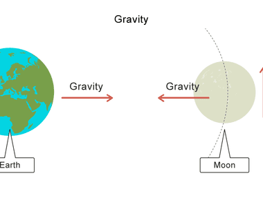 Gravitational mass measures how much gravity an object exerts on other objects or how much gravity the object experiences from another object