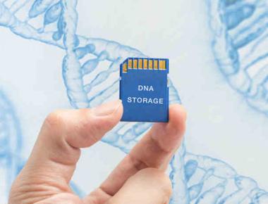 Entire data of the world can be stored in 4 grams of dna