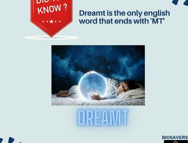 dreamt is the only english word that ends in the letters mt