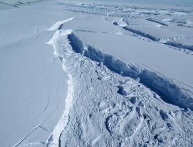 Nearly 3 of the ice in antarctic glaciers is composed by penguin urine