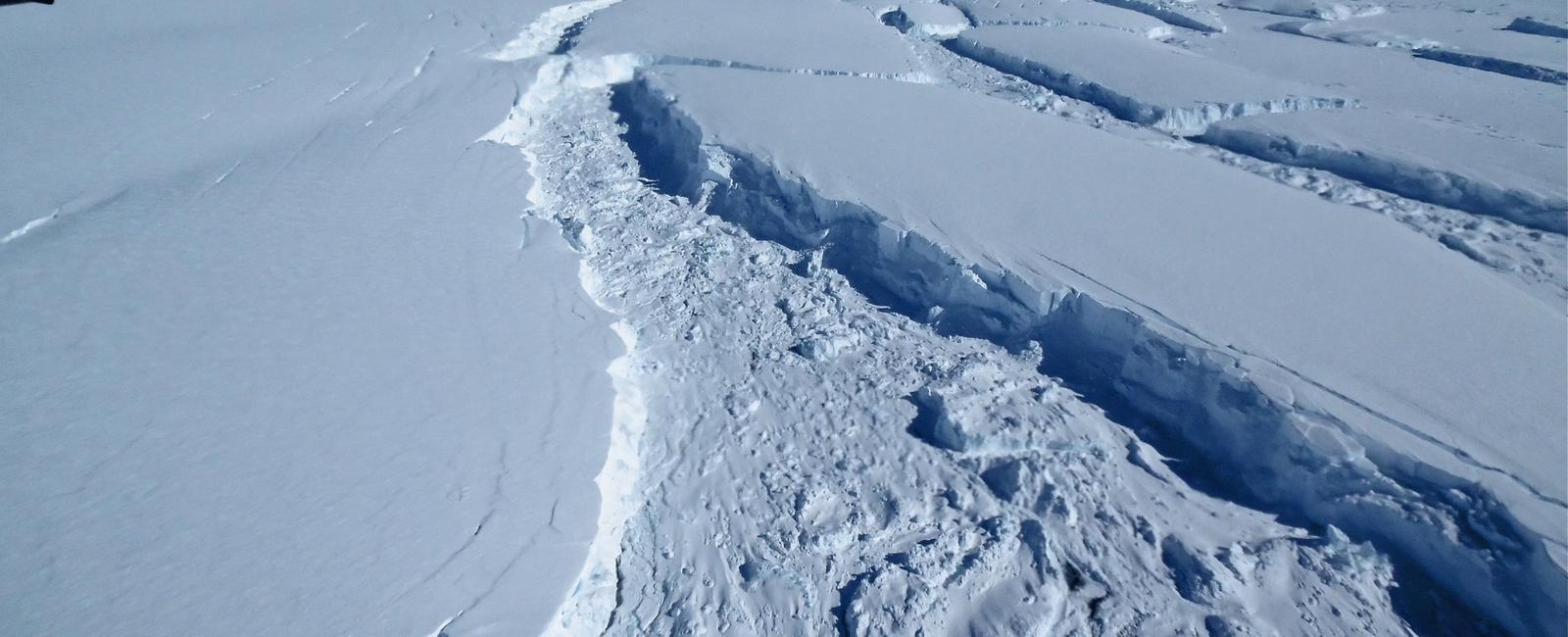 Nearly 3 of the ice in antarctic glaciers is composed by penguin urine