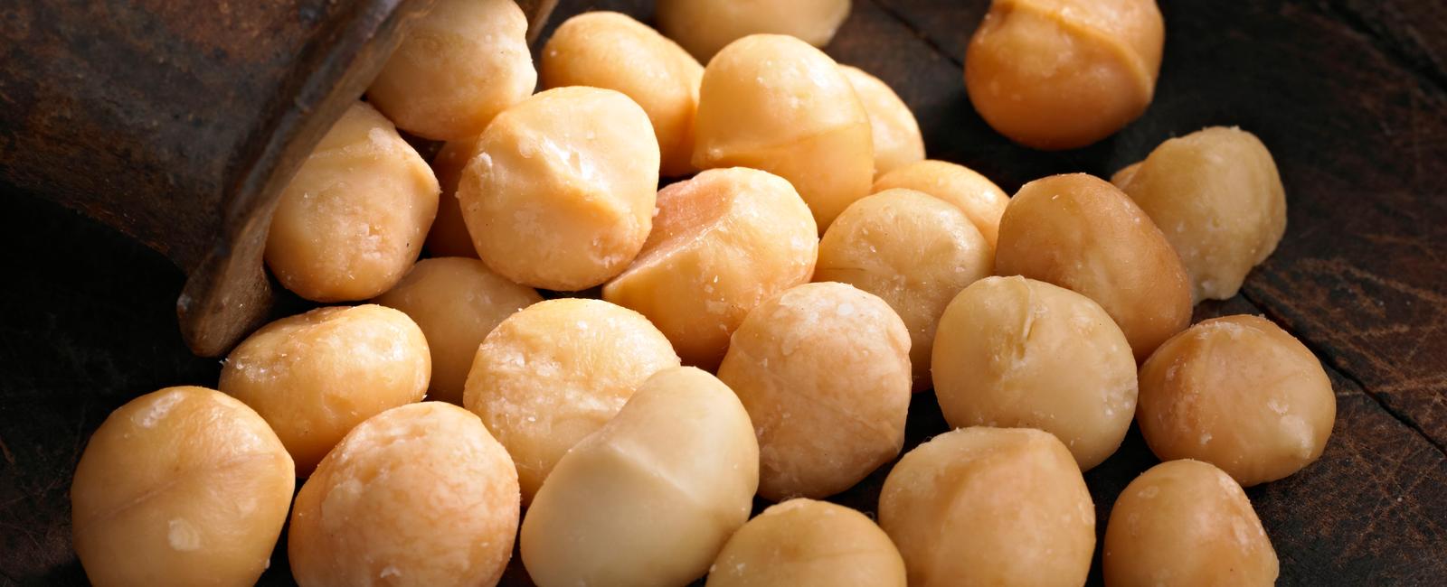 Macadamia nuts are toxic to dogs