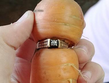 A woman who lost her wedding ring found it 16 years later on a carrot in her garden