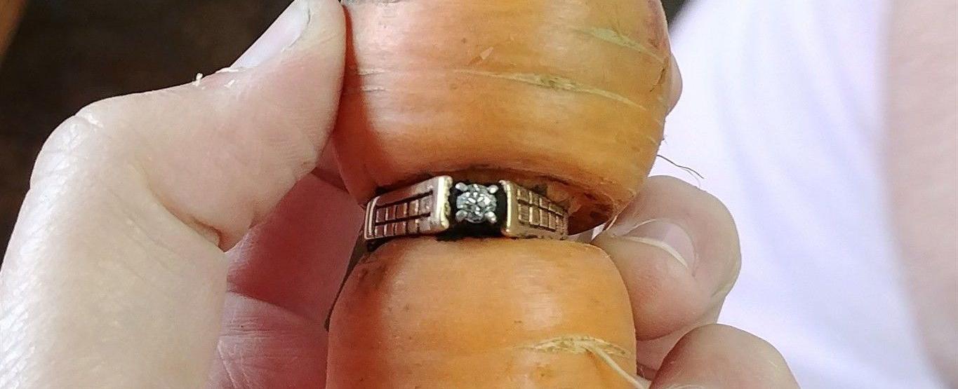 A woman who lost her wedding ring found it 16 years later on a carrot in her garden