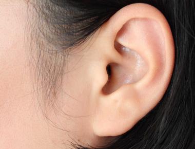 The average ear grows 0 01 inches in length every year