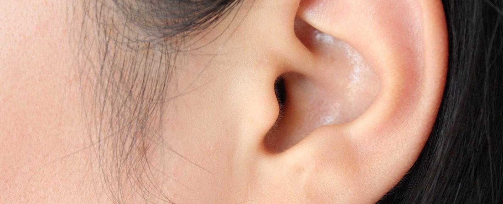 The average ear grows 0 01 inches in length every year