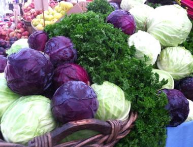 Cabbage contains almost as much water as watermelon