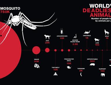 About a million people die every year from mosquito bites