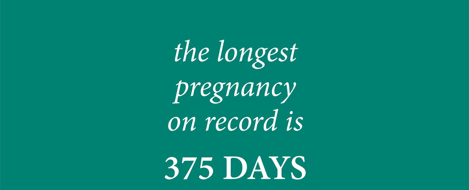 The longest pregnancy in humans on record is 375 days 12 5 months