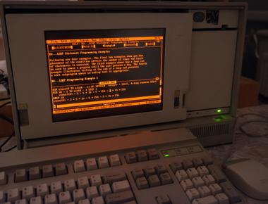 In the 1980s an ibm computer wasn t considered 100 compatible unless it could run microsoft flight simulator