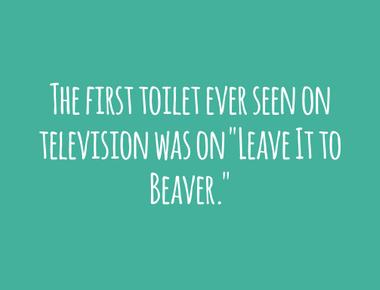 The first toilet ever seen on television was on leave it to beaver