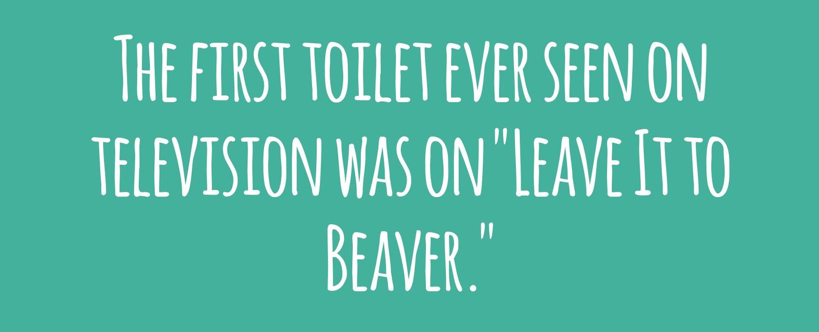The first toilet ever seen on television was on leave it to beaver