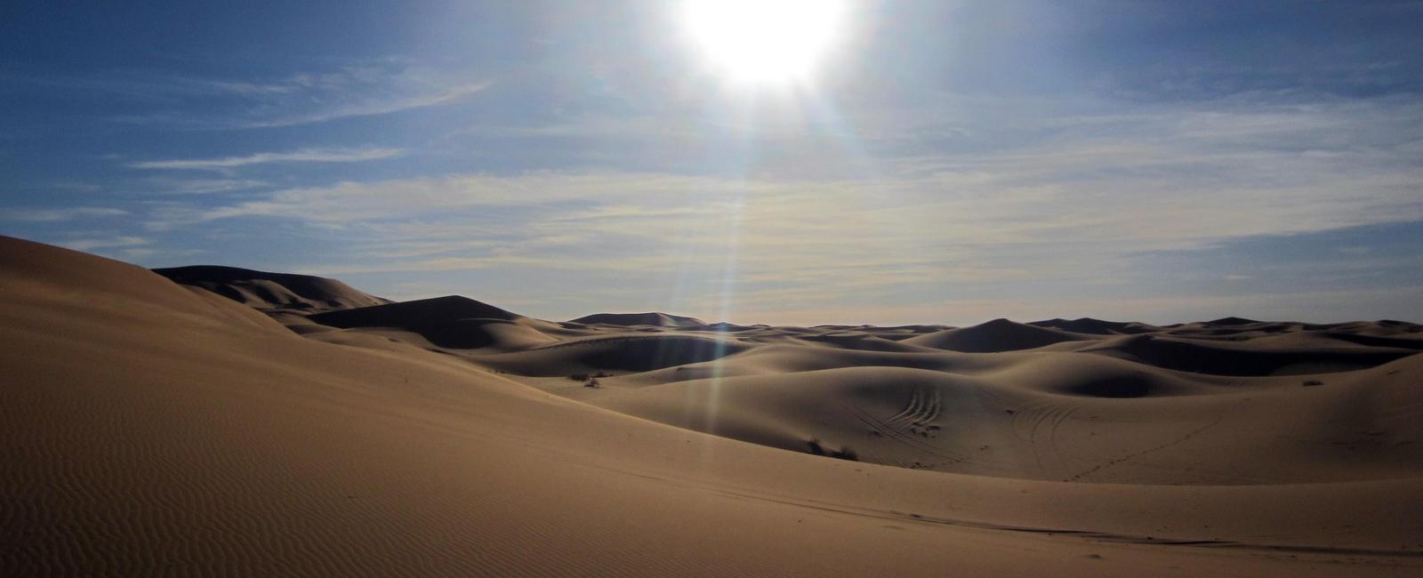 The world s largest desert outside of the polar regions is the sahara it covers about one third of africa