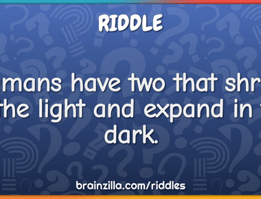 Humans have two that shrink in the light and expand in the dark pupil