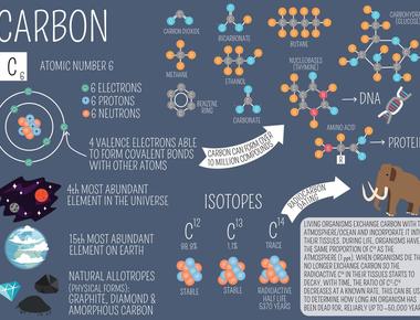 Carbon is not only the 4th most abundant element in the universe it is an essential element to all living things on earth carbon is present in all living things