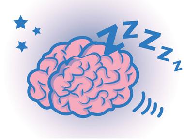 Your brain is sometimes more active when you re asleep than when you re awake