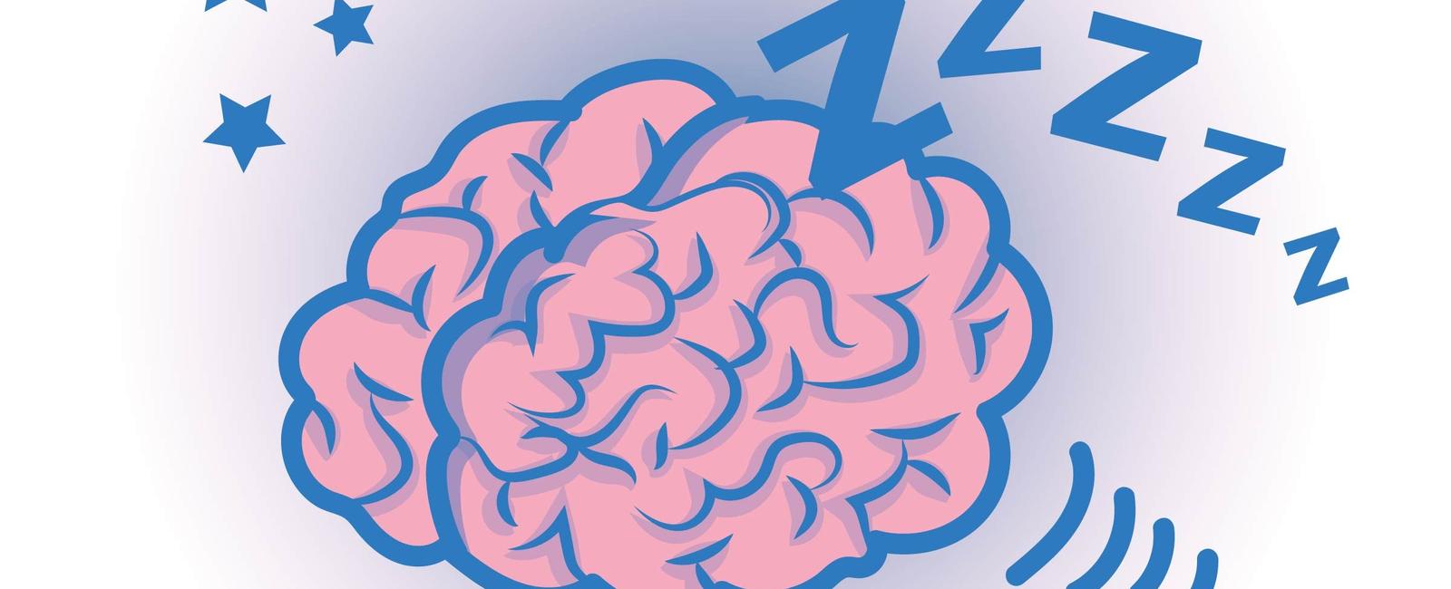 Your brain is sometimes more active when you re asleep than when you re awake