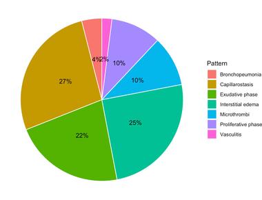 A delicious way of presenting numbers piechart