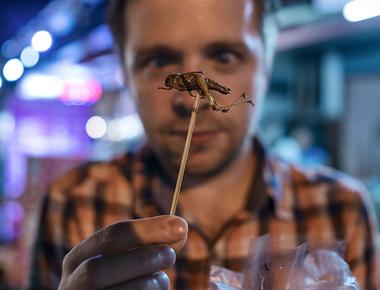 The average person will accidentally eat just under a pound of insects every year