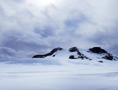 Antarctica is the largest desert in the world