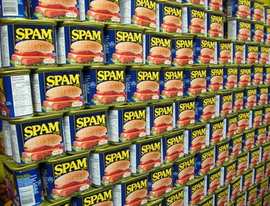 The electronic version of junk mail or salty meat in a can spam