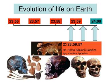 If earth s history were condensed into 24 hours life would ve appeared at 4am land plants at 10 24pm dinosaur extinction at 11 41pm and human history would ve begun at 11 58 43pm