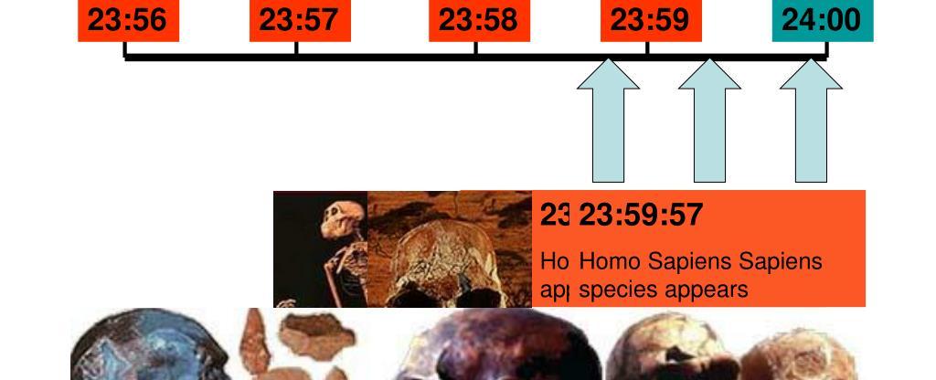 If earth s history were condensed into 24 hours life would ve appeared at 4am land plants at 10 24pm dinosaur extinction at 11 41pm and human history would ve begun at 11 58 43pm