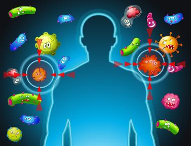 The human body is full of friendly bacteria with organisms on our skin and in our guts helping keep our bodies humming