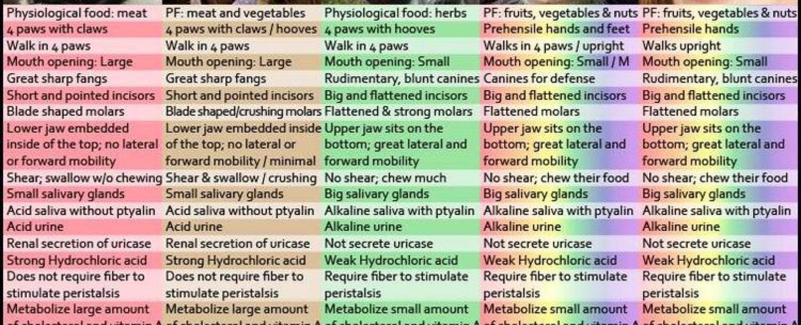 Humans eat meat from a number of different animals common examples include meat from chickens cows sheep and pigs other food products that come from animals include milk eggs and honey