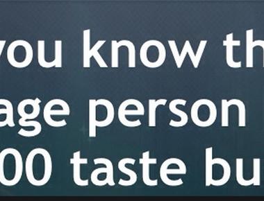 The average human has around 10 000 taste buds