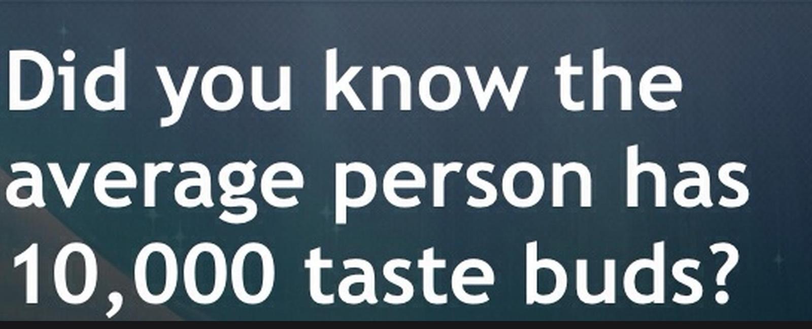 The average human has around 10 000 taste buds