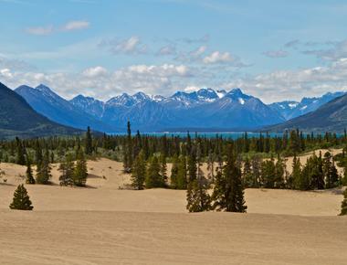 At merely 1 0 sq miles or 640 acres the carcross desert outside carcross in yukon canada is the world s smallest desert