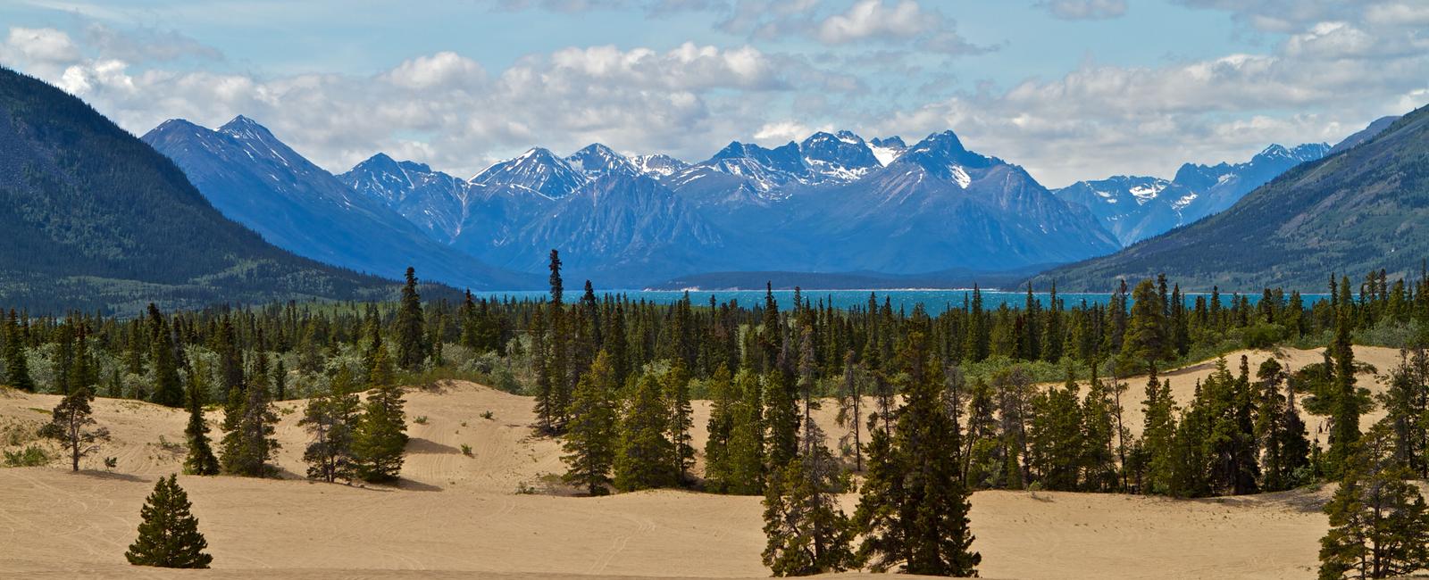 At merely 1 0 sq miles or 640 acres the carcross desert outside carcross in yukon canada is the world s smallest desert