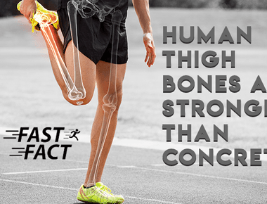 Your thigh bone is stronger than concrete