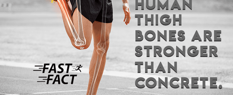 Your thigh bone is stronger than concrete