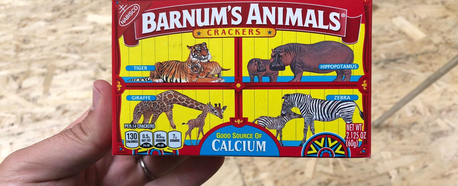 The string on boxes of animal crackers was originally placed there so the container could be hung from a christmas tree