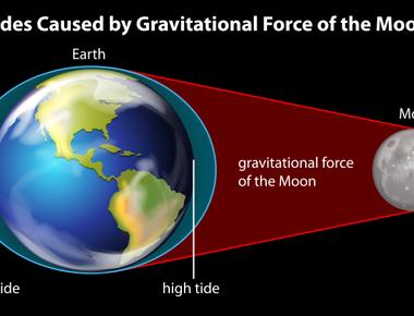 High and low tides in the ocean are caused by the moon s gravity