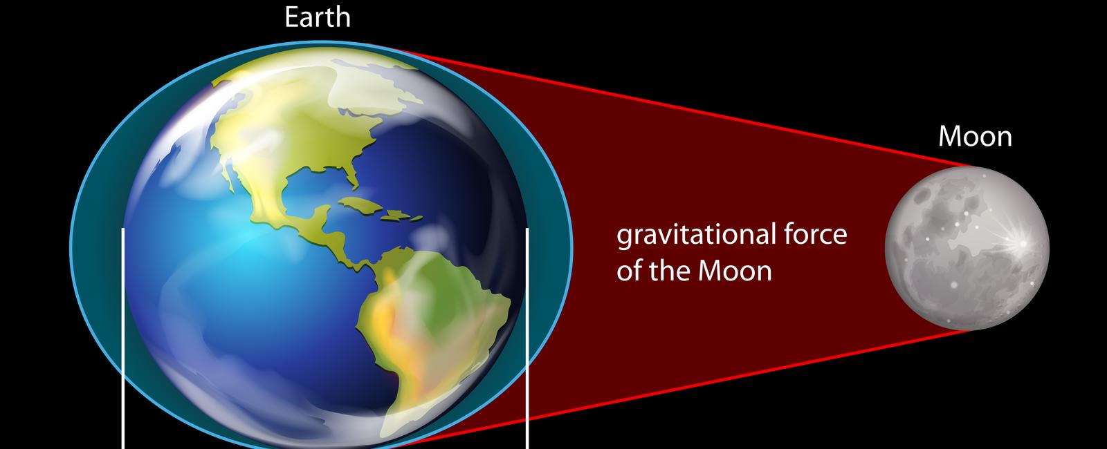 High and low tides in the ocean are caused by the moon s gravity