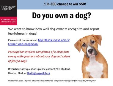 82 of people would feel more confident approaching an attractive person if they had their dog with them a survey found