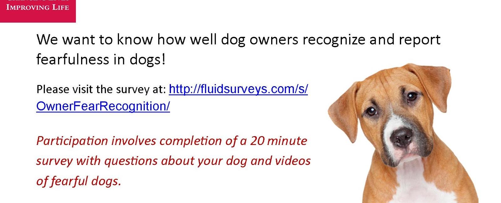 82 of people would feel more confident approaching an attractive person if they had their dog with them a survey found