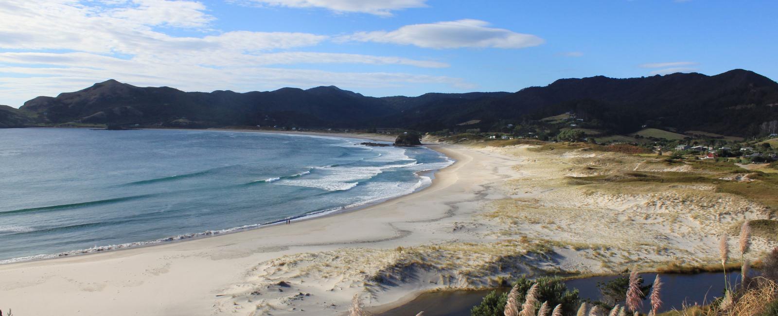 A barrier island is made up of a beach sand dunes over ash and saltwater marshes