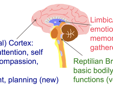 The reward centers of our brains light up more when we re talking about ourselves than when we re talking about other people we are basically our favorite subject